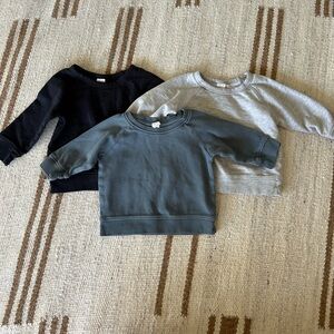 Colored Organics Sweatshirt Bundle - 6-12M
